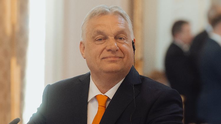 Viktor Orban et sa vision particulière de la démocratie