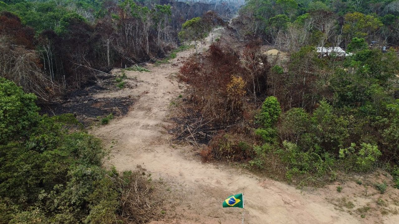 Déforestation en Amazonie au Brésil