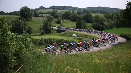 Le peloton lors de la deuxième étape du Critérium du Dauphiné, le 9 juin 2025. (ANNE-CHRISTINE POUJOULAT / AFP)