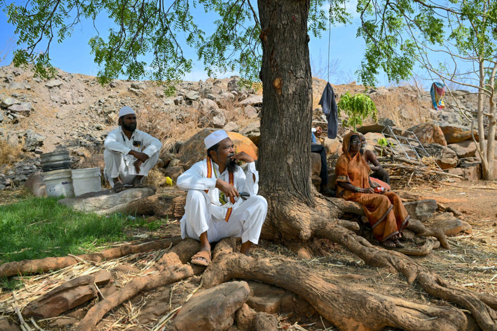 Khatijabi (d), dont le fils Shaikh Latif Sheru, agriculteur, s'est suicidé en raison de l'accumulation de prêts financiers, est assise à l'ombre d'un arbre avec les membres de sa famille sur leurs terres agricoles du village de Mochi Pimpalgaon, dans le district de Beed, dans l'Etat du Maharashtra, le 3 mai 2025 en Inde