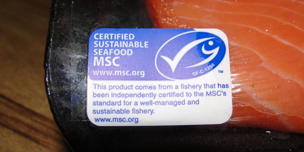 Logo MSC sur un étal de poisson