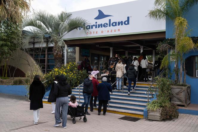Les visiteurs font la queue devant le Marineland, avant sa fermeture, à Antibes (Alpes-Maritimes), le 2 janvier 2025.