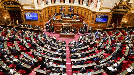 Le Sénat, le 5 mars 2025 à Paris. Image d'illustration. (MAGALI COHEN / HANS LUCAS)