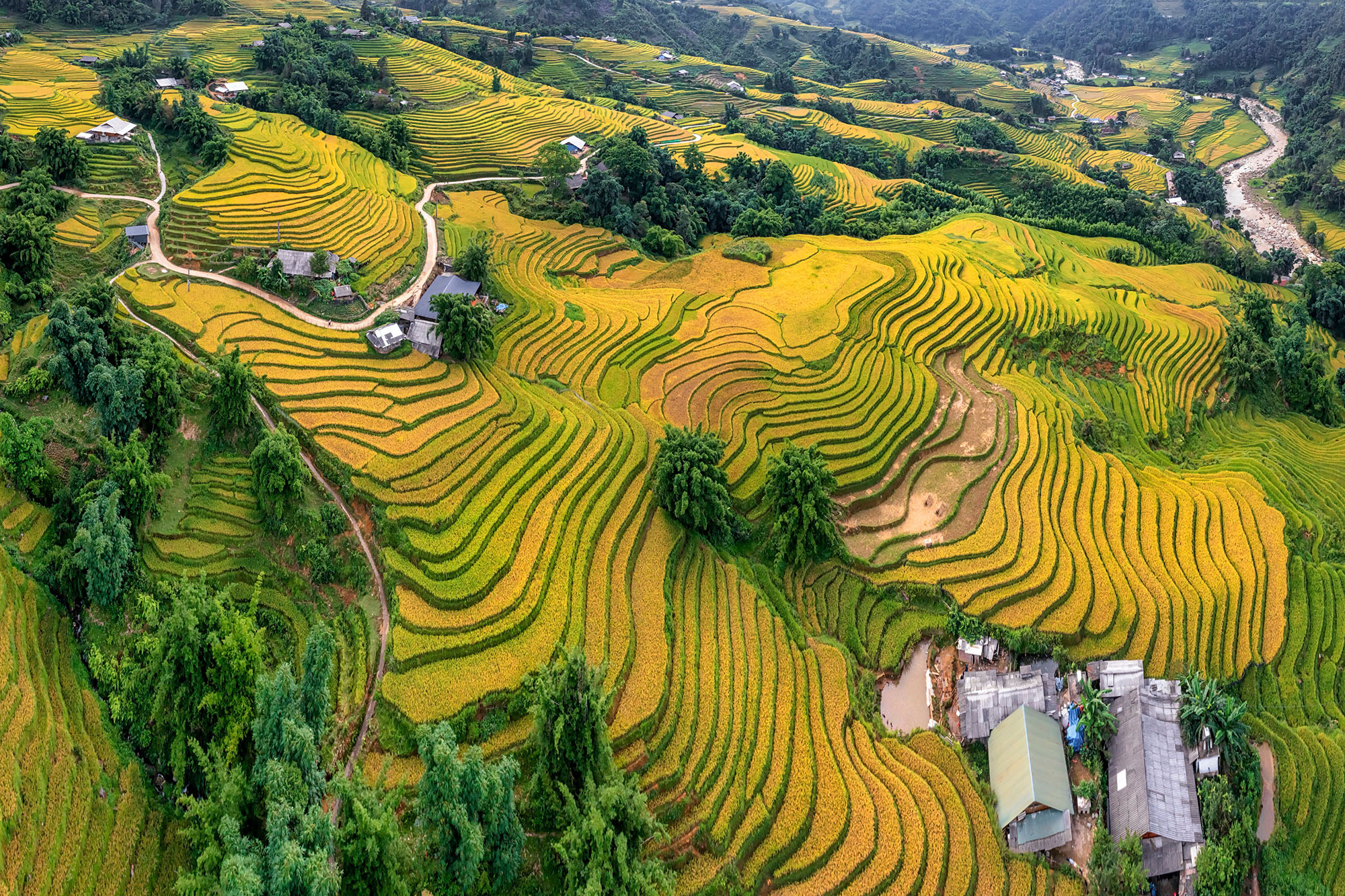 Balades autour de Sapa
