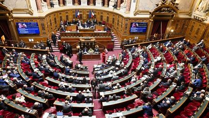 Le Sénat lors des Questions au gouvernement, à Paris, le 28 mai 2025. (MAGALI COHEN / HANS LUCAS / AFP)