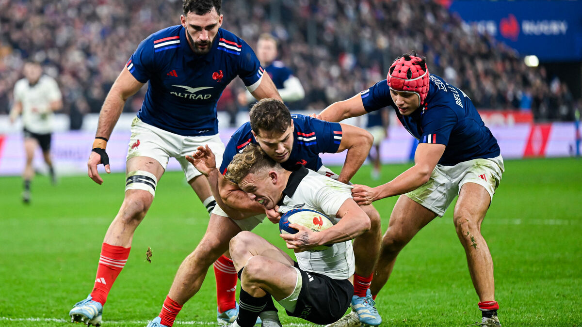 Stade Pierre-Mauroy de Lille lors d'un match de rugby