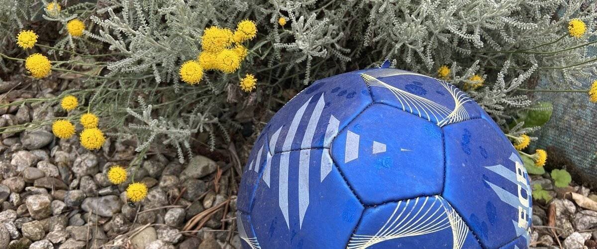 Animations musicales dans le centre-ville de Montauban lors de la Fête de la Musique
