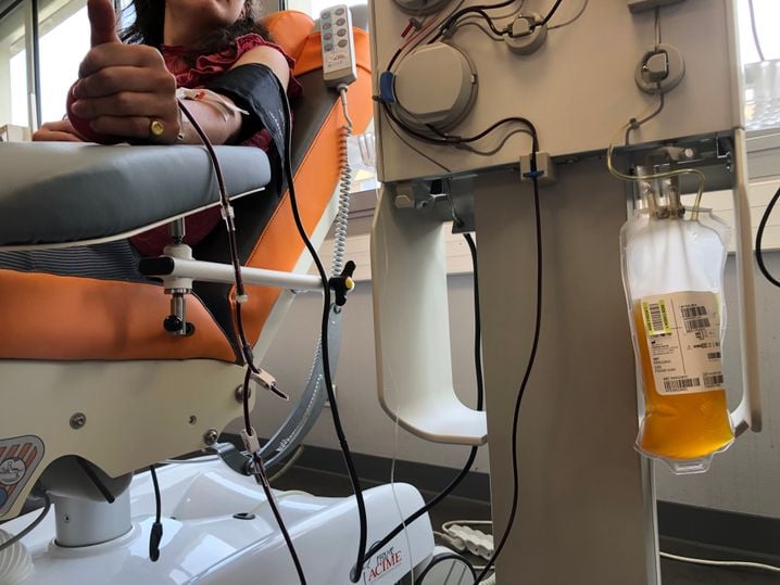 Plasma jaune, essentiel pour les traitements médicaux.