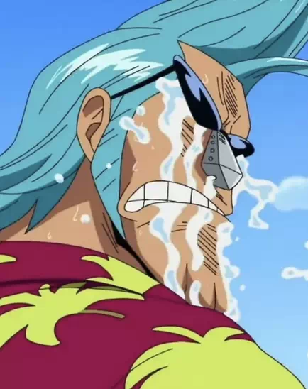 Franky One Piece