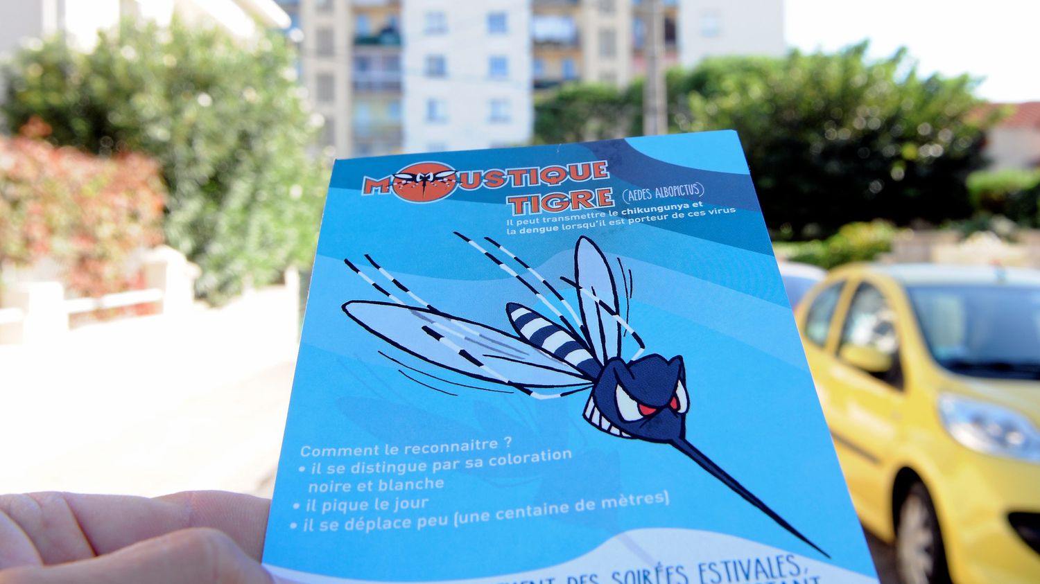 Démoustication en cours à La Crau suite à un cas de chikungunya