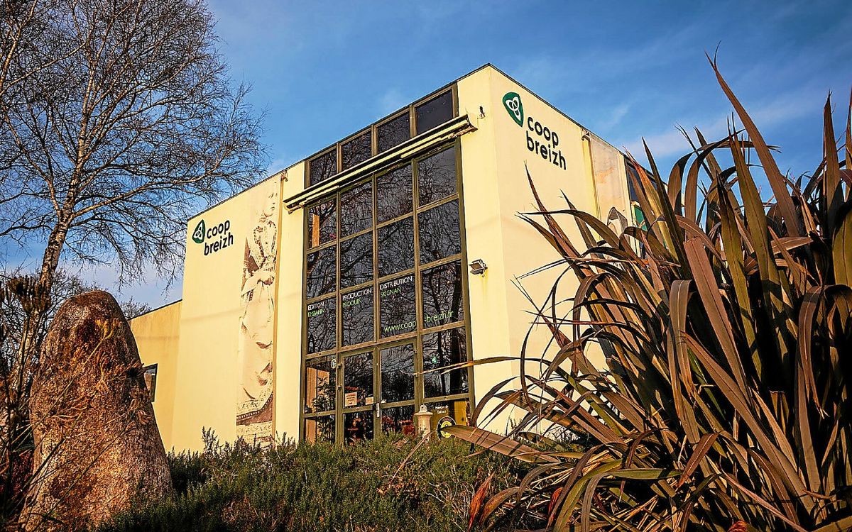 Logo ou symbole de Coop Breizh