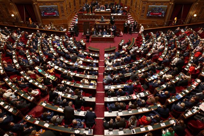 Le Sénat lors d’un vote à Paris, en octobre 2023.