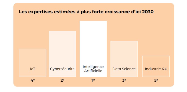 Les domaines d'expertise en forte demande.