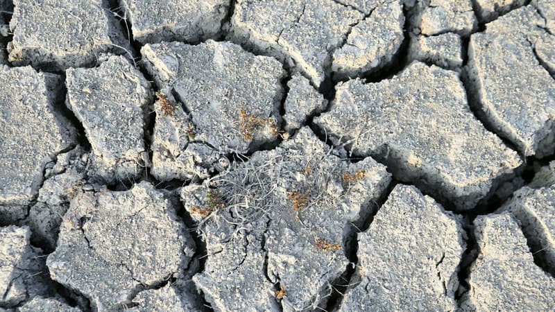 De la terre craquelée, lors d'un épisode de sécheresse en Corse en août 2021