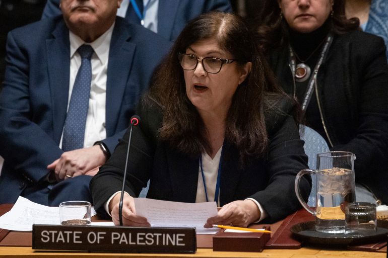 فارسين أغابكيان lors d'une réunion du Conseil de sécurité à l'ONU, 2025