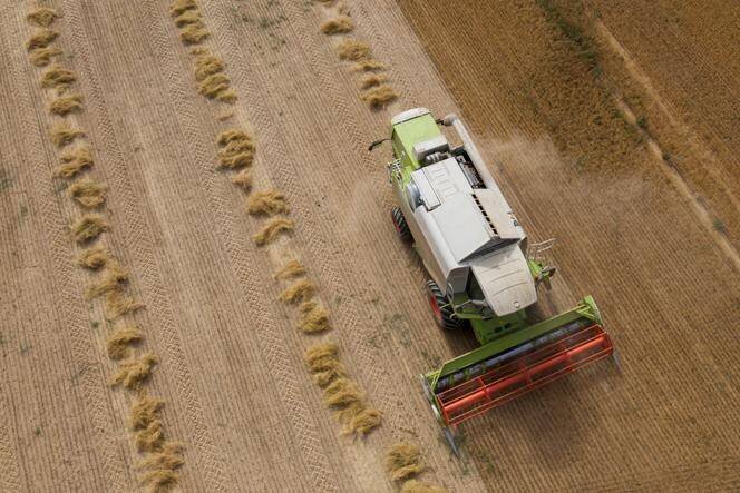 Une moissonneuse-batteuse à Angevillers, en Moselle, le 22 août 2022.