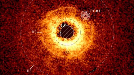 Image diffusée par le CNRS montrant un disque autour de l'étoile TWA 7. Elle est réalisée à l’aide de l’instrument Sphere du Very Large Telescope et avec l'image capturée par l’instrument MIRI du télescope James Webb. (A.-M. LAGRANGE ET AL. / ESO / JWST)
