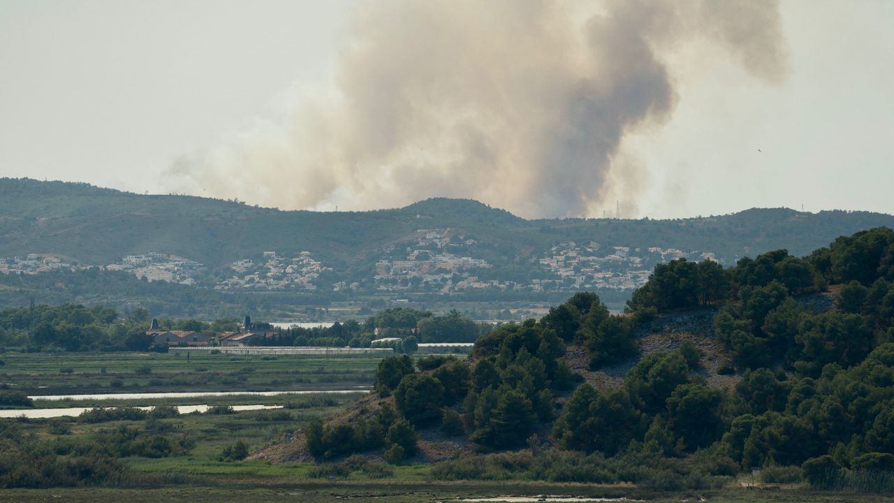 Feu dans l'Aude lors d'un incendie de forêt à Narbonne