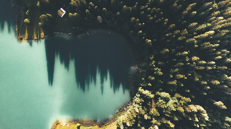 Lac Genin