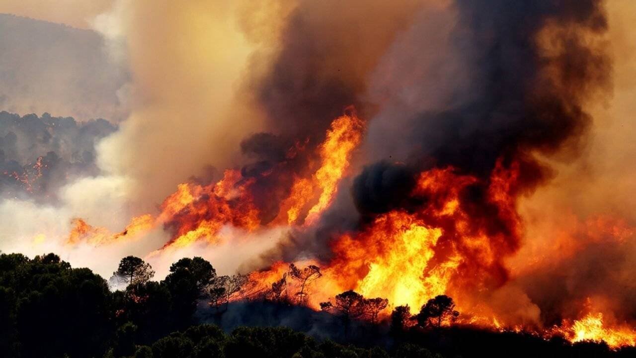 Intervention de pompiers lors d'un incendie de forêt