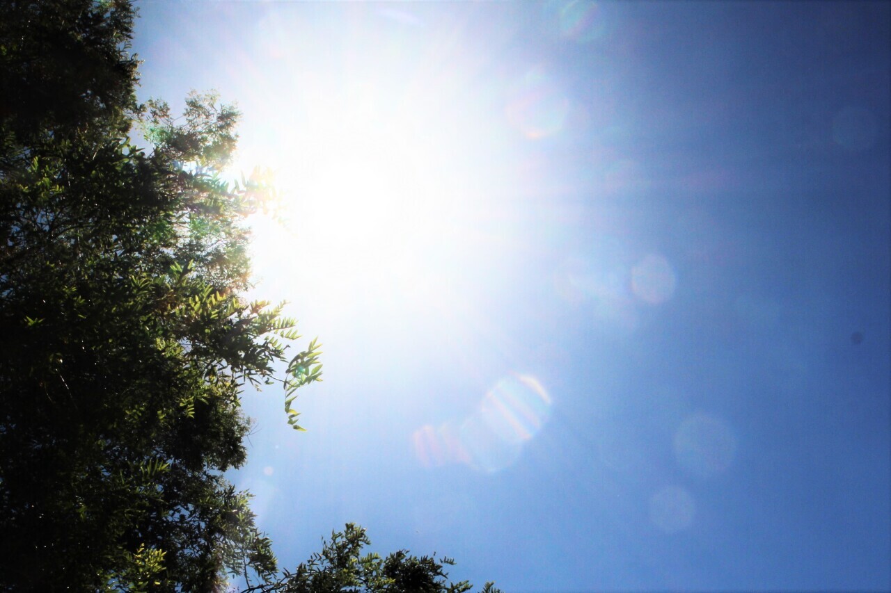 Images de canicule avec des températures extrêmes en France