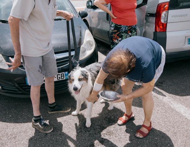 Les membres de la famille Sodali font une pause pour rafraîchir leur chien, Roméo, sur l'aire d'Ambrussum entre Montpellier et Nîmes, le 27 juin 2025.