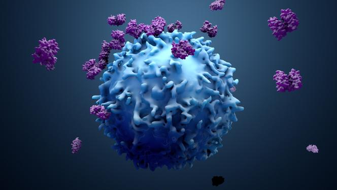 Illustration en 3D de protéines avec des lymphocytes T.