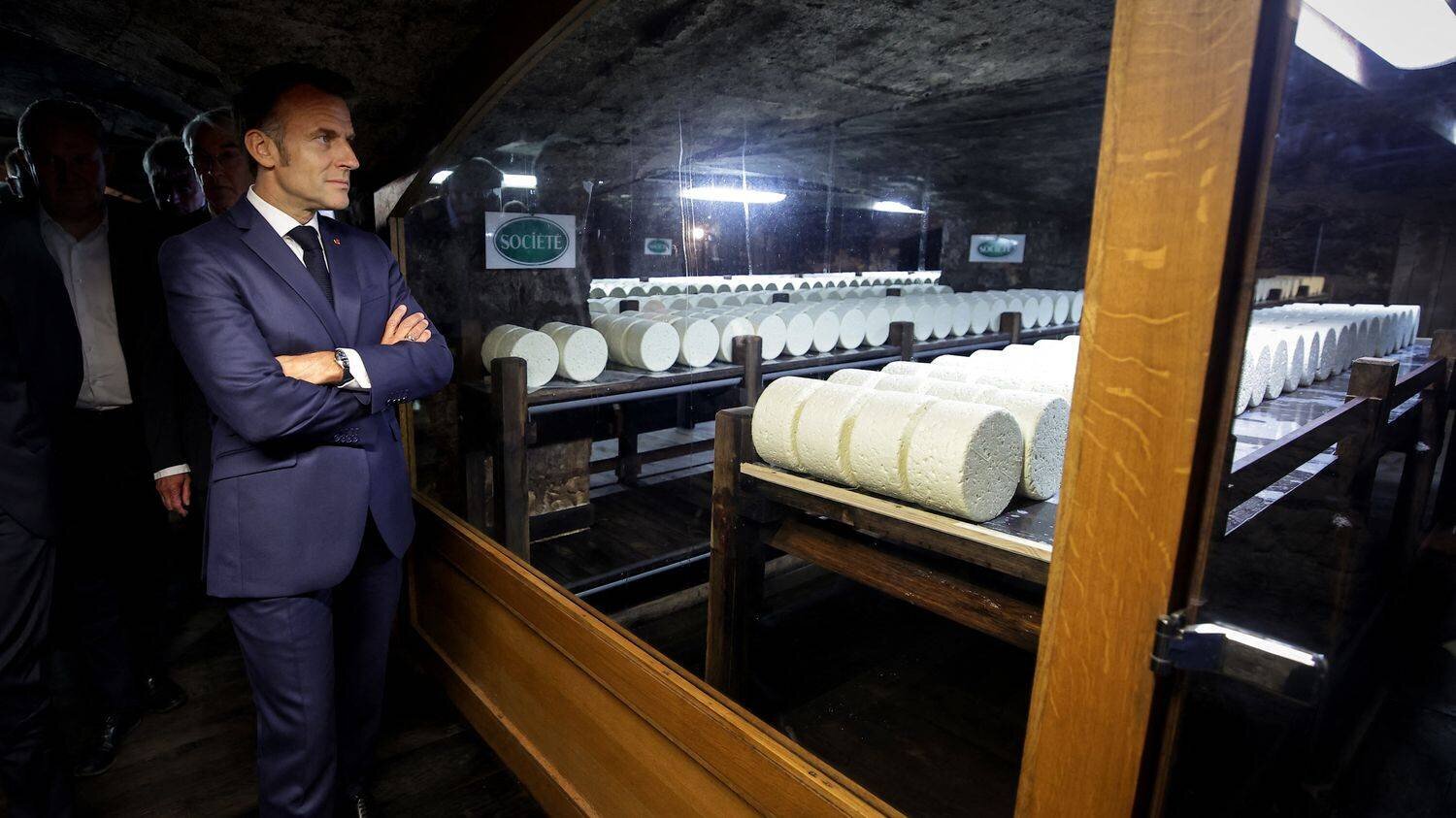 Loup dans la nature, illustration