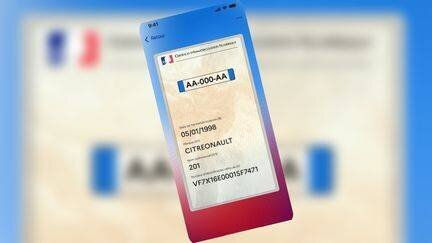 Un exemple d'un certificat d'immatriculation numérique, disponible depuis le 30 juin 2025. (CAPTURE D'ECRAN / MINISTERE DE L'INTERIEUR)