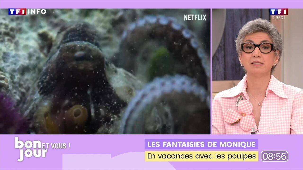 Poulpe dans son environnement naturel