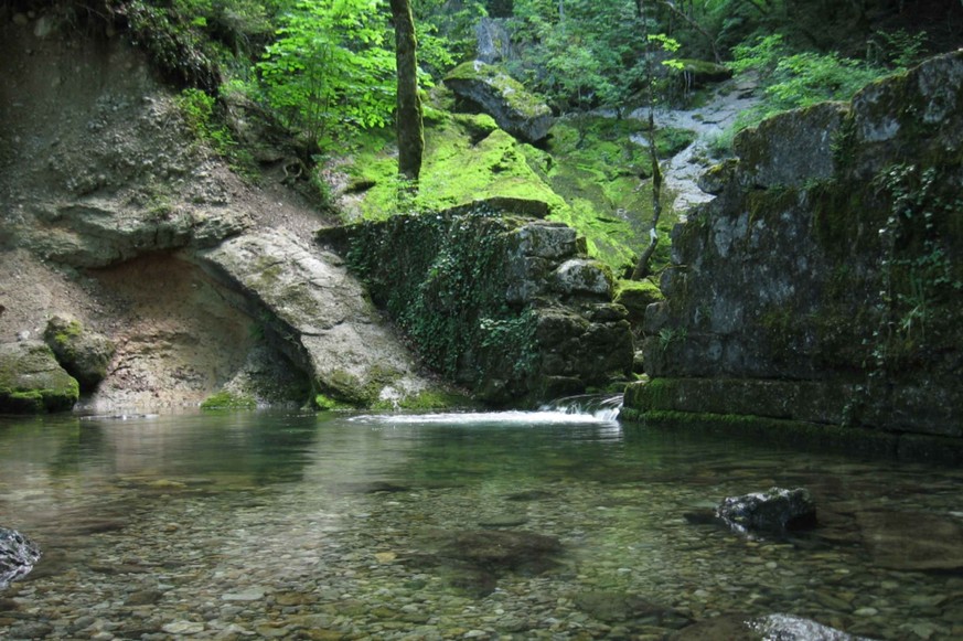 L'Allondon, trésor naturel genevois.