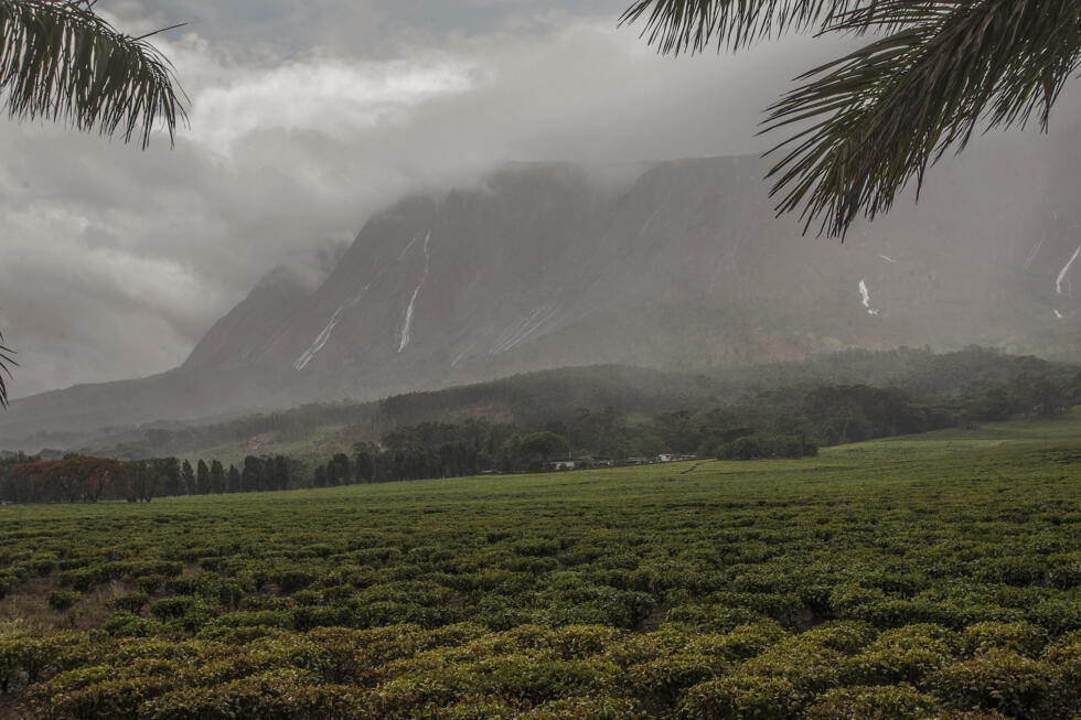Le Mont Mulanje en octobre 2017 au Malawi