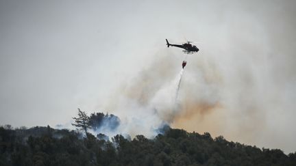 Un hélicoptère qui lutte contre un incendie près de Narbonne, dans l'Aude, le 8 juillet 2025. (MATTHIEU RONDEL / AFP)