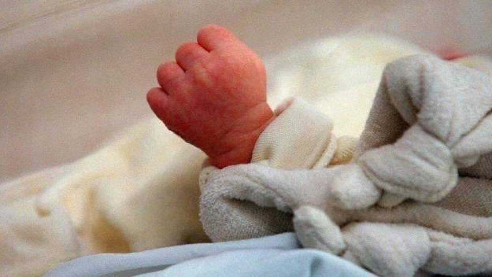 Naissance en France 2024