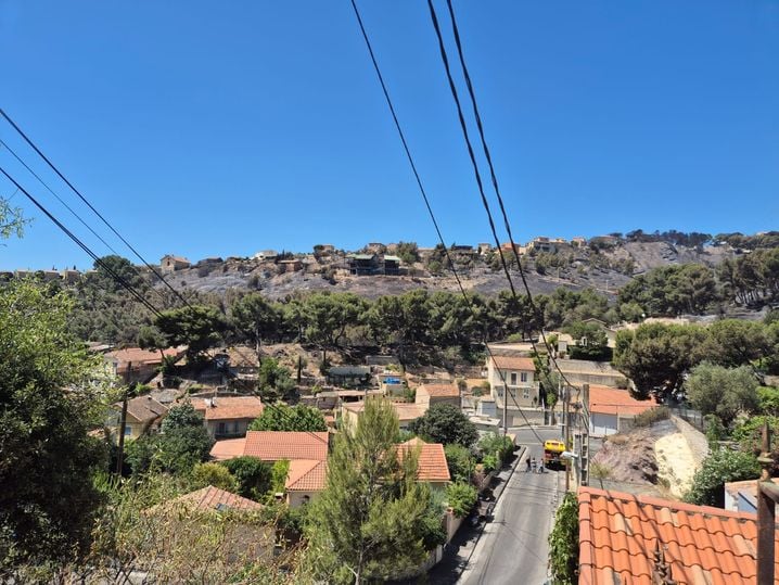 Au loin, les terres brûlées par l'incendie.