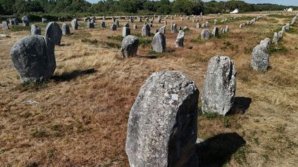 Les mégalithes de Carnac, le 4 juillet 2025. (DAMIEN MEYER / AFP)