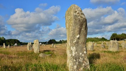 Les alignements de Carnac (Morbihan), le 14 juin 2020. (ANTOINE LORGNIER / HANS LUCAS VIA AFP)