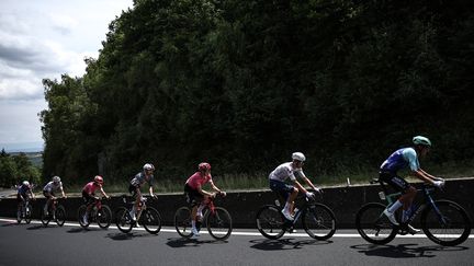 L'échappée sur la route de la 10e étape du Tour de France, entre Ennezat et Le Mont-Dore Puy de Sancy, le 14 juillet 2025. (ANNE-CHRISTINE POUJOULAT / AFP)