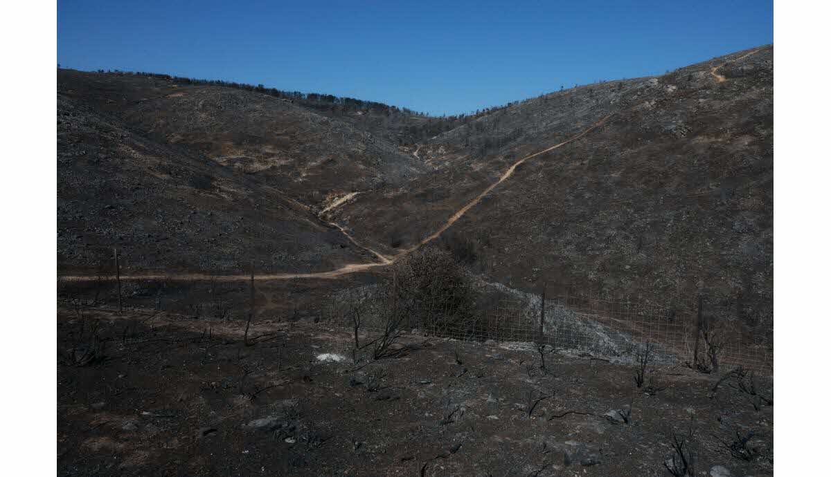 Incendies dans le Vaucluse, le Var et les Bouches-du-Rhône