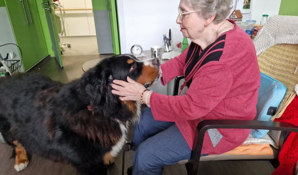 Bernadette, résidente de l'Ehpad Les roseaux, appelle Viggo «l'ours» et apprécie ses visites. Elle aussi a eu un jour des animaux.