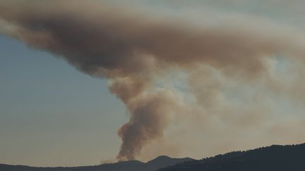 Un important incendie a parcouru 129 hectares à Martigues, 450 pompiers mobilisés, dans les Bouches-du-Rhône. (Photo d'illustration). (VALERY HACHE / AFP)