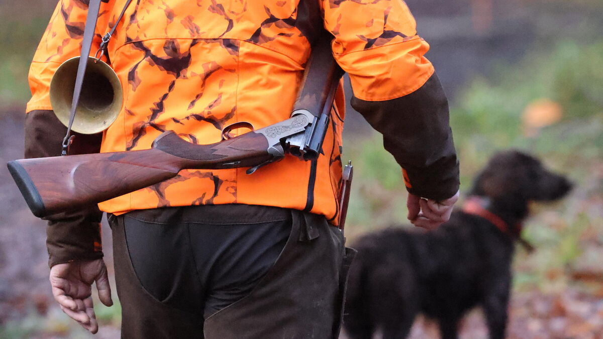 Chasseur en action dans un champ