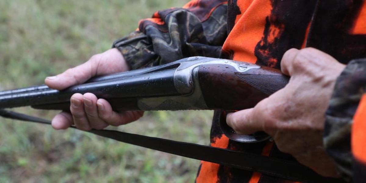 Chasseur en forêt pendant une battue