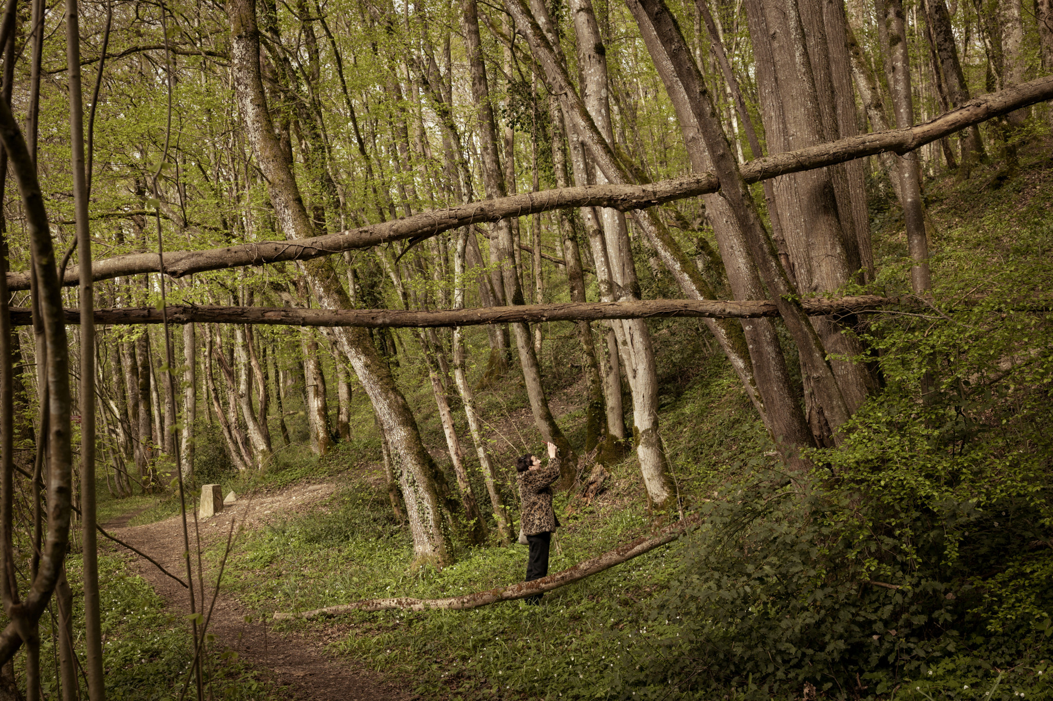 Personne photographiée près de la borne numéro 1 à Chancy, Suisse, entourée d’arbres dans une forêt, symbolisant la frontière entre la Suisse et la France.