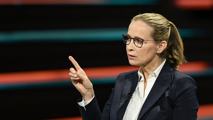 Längst nicht mehr nur eine Justizpersonalie: die Kandidatur von Frauke Brosius-Gersdorf.