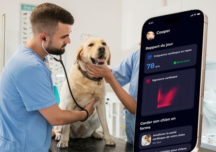 À travers l'application d'Invoxia, les données santé de son animal peuvent être transmise au vétérinaire.