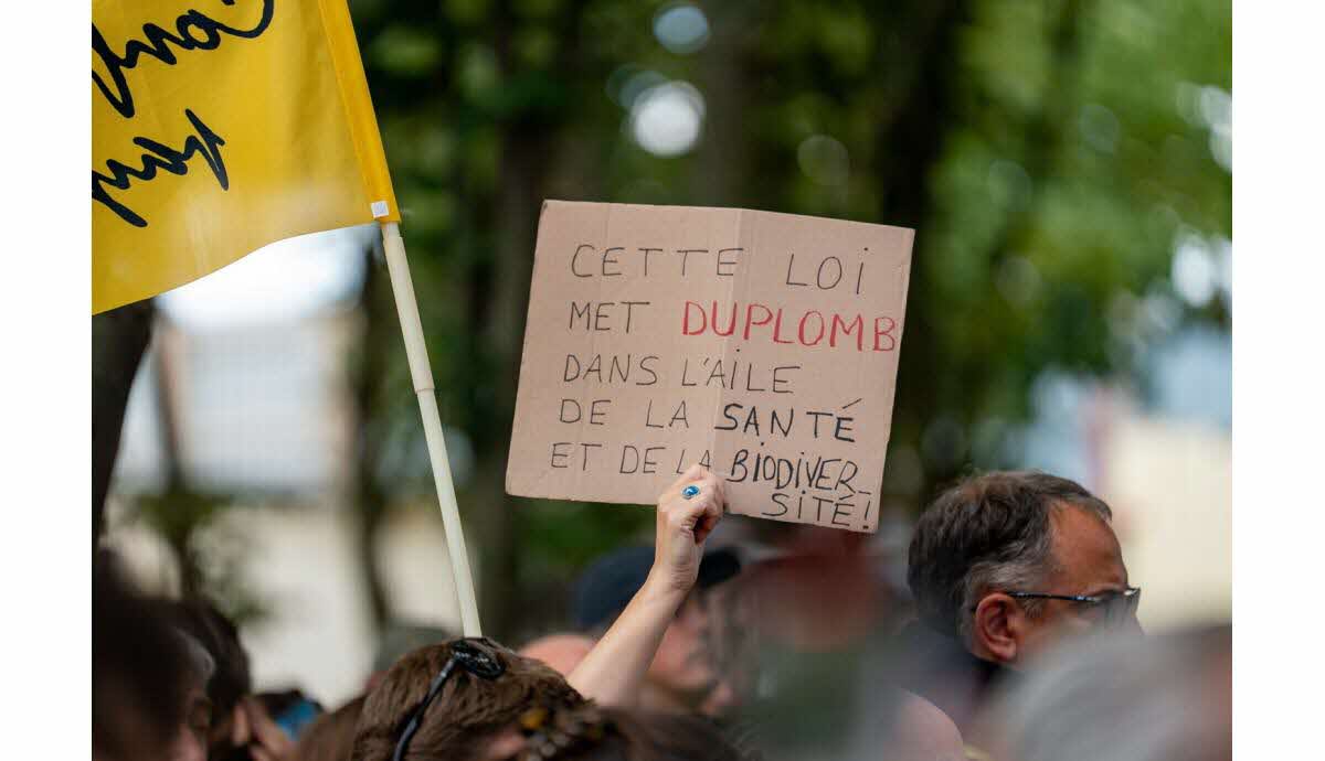 Manifestation contre la loi Duplomb lors d'une manifestation citoyenne
