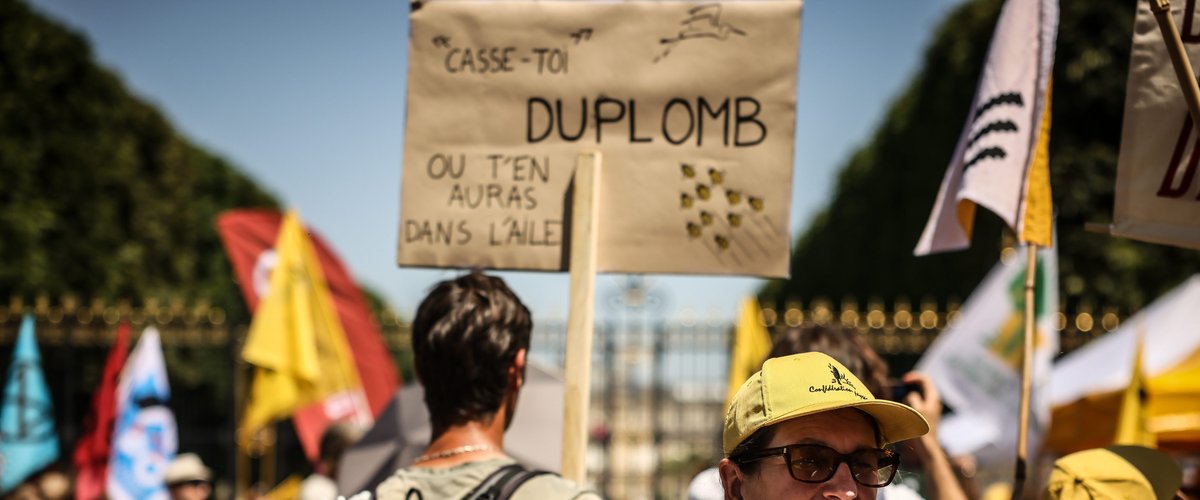 Manifestation anti-pesticides dans la campagne française