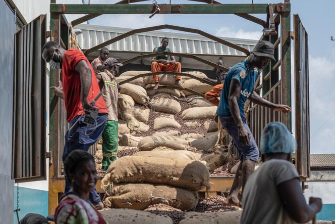 Des ouvriers déchargent une livraison de fèves de cacao à l’usine Awazen, à Abidjan (Côte d’Ivoire), le 17 novembre 2022.