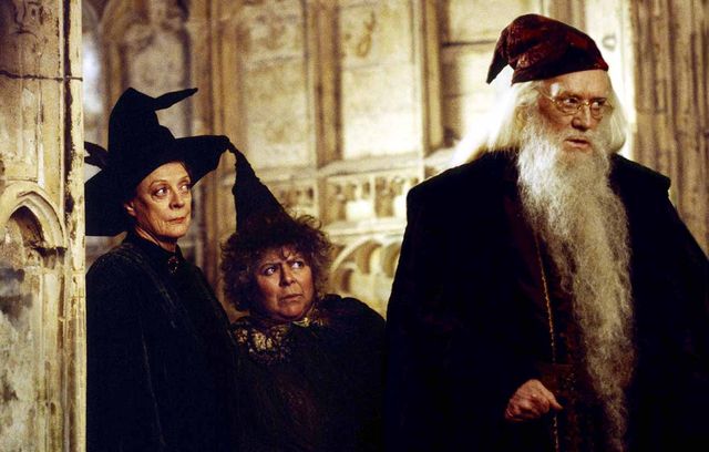 Ce bon vieux Albus Dumbledore, ici sous les traits de Richard Harris.